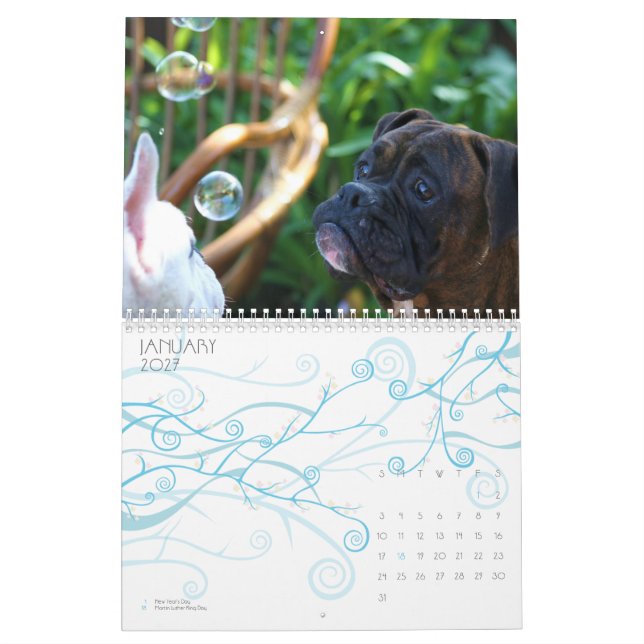 Calendário dos pugilistas 2011 (Jan 2027)