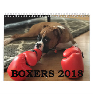 CALENDÁRIO DOS PUGILISTAS 2018