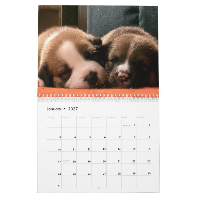 Calendário dos Puppies (Jan 2027)