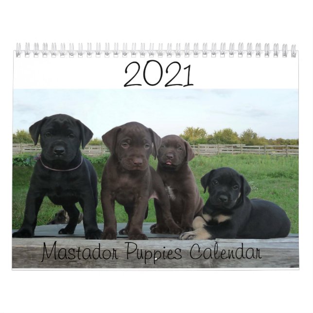 Calendário dos Puppies do Mastador 2021 (Capa)