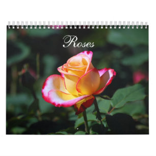 Calendário dos rosas 2012