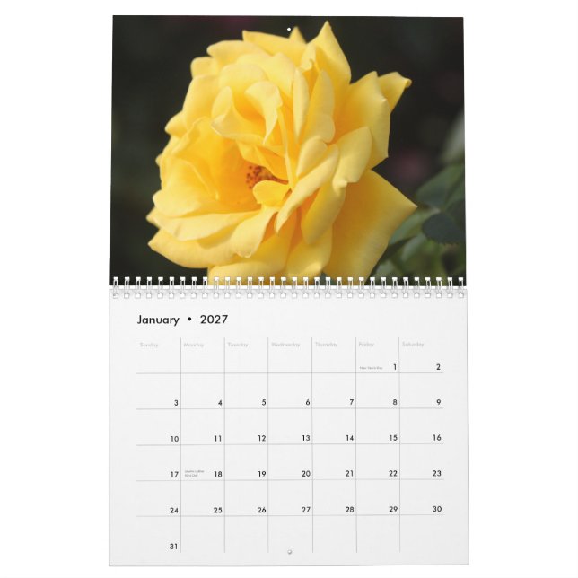 Calendário dos rosas 2015 (Jan 2027)