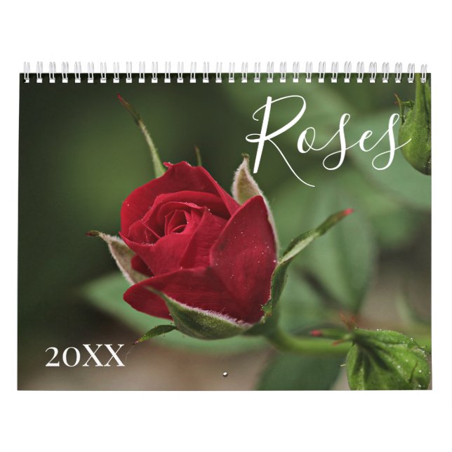 Calendário dos rosas românticos das flores florais (Capa)