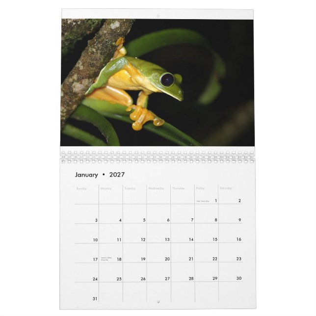 Calendário dos sapos de Costa Rica (Jan 2027)