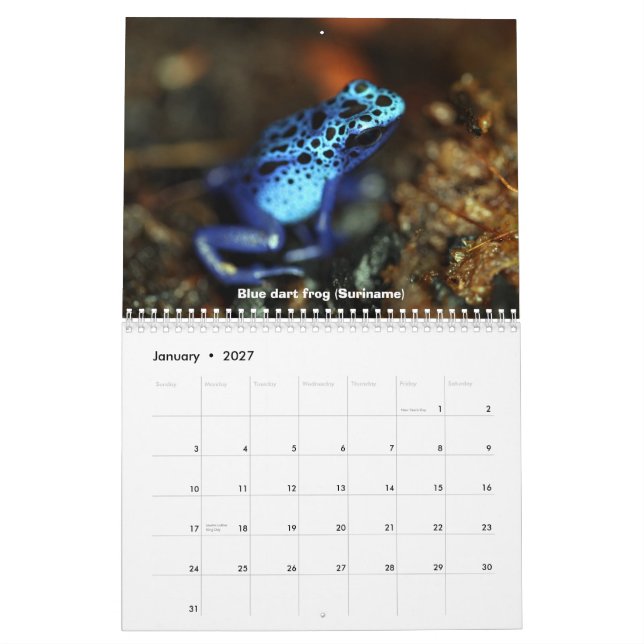 Calendário dos sapos do dardo do veneno (Jan 2027)