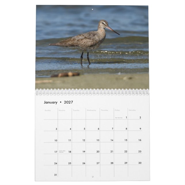 Calendário dos Shorebirds (Jan 2027)