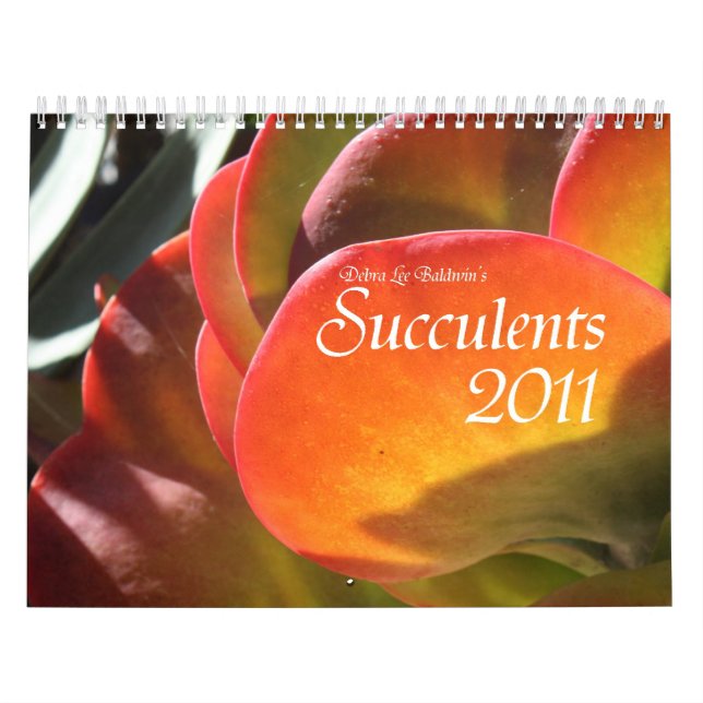 Calendário dos Succulents 2011 (Capa)