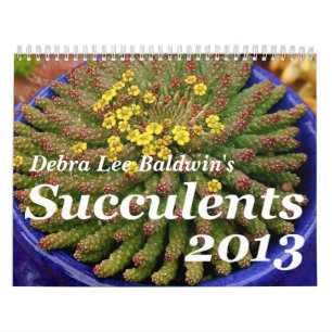 Calendário dos Succulents 2013 de Debra Lee Baldw