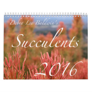 Calendário dos Succulents 2016 por Debra Lee
