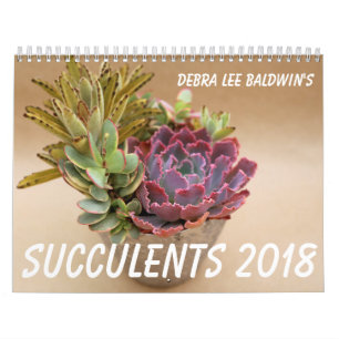 Calendário dos Succulents 2018 por Debra Lee