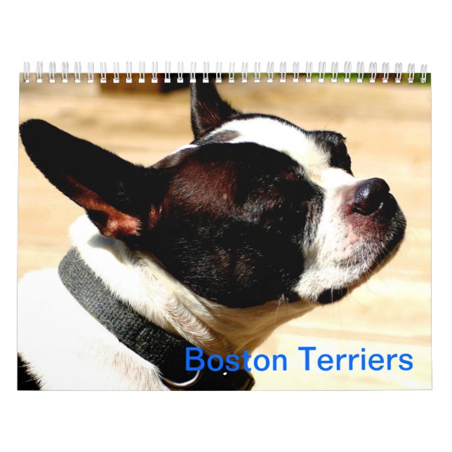 Calendário dos terrier de Boston (Capa)