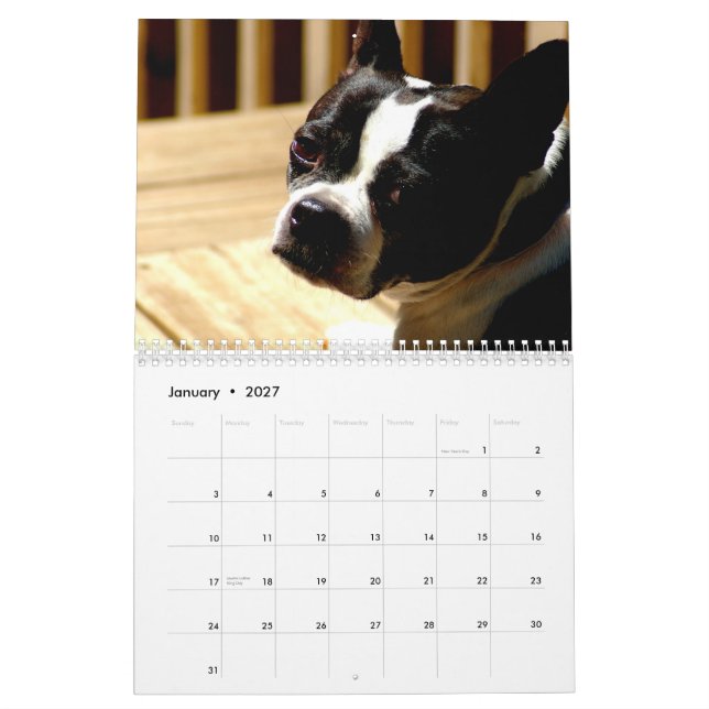Calendário dos terrier de Boston (Jan 2027)