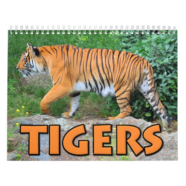 Calendário dos tigres (Capa)