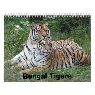 Calendário dos tigres de Bengal, tigres de Bengal