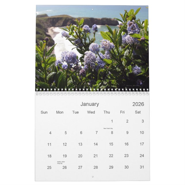 Calendário dos Vistas 2012 do Wildflower (Jan 2026)