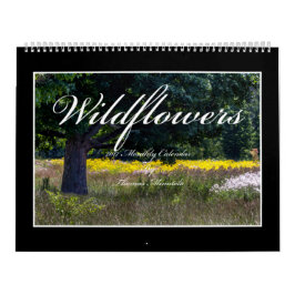 Calendário dos Wildflowers 2017 por Thomas