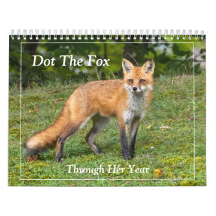 Calendário Dot The Fox