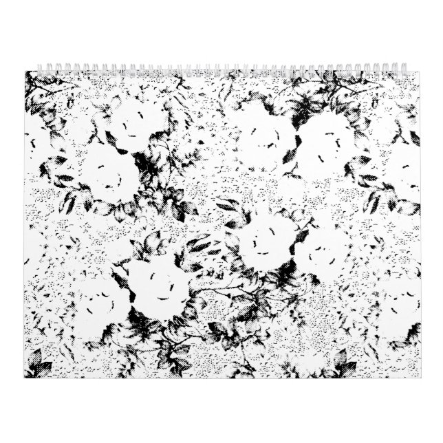 Calendário Dot, Vaca Negra (Capa)