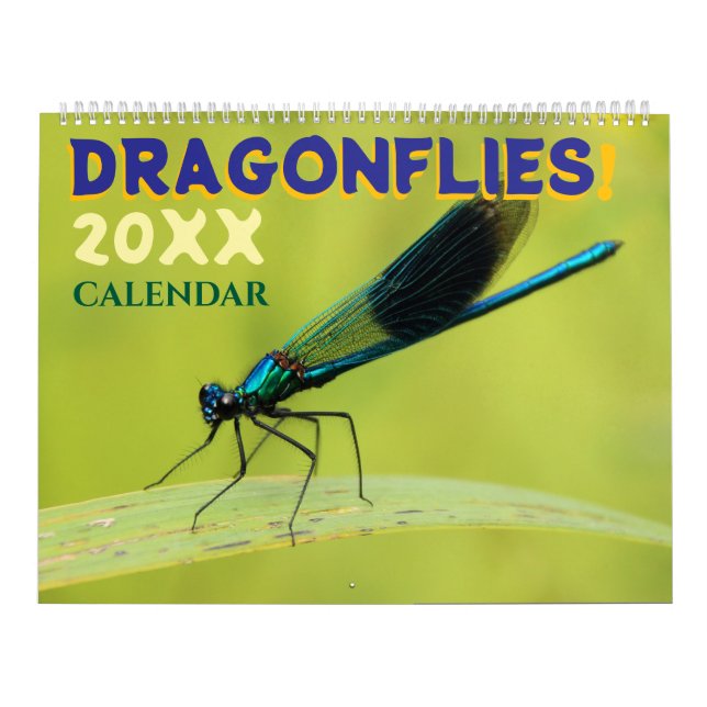 Calendário Dragonflies in Nature Wall Calendar Cute (Capa)