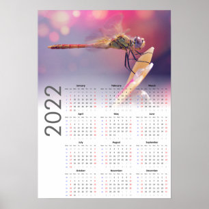 Calendário Dragonfly 2022 Poster - Início de dom