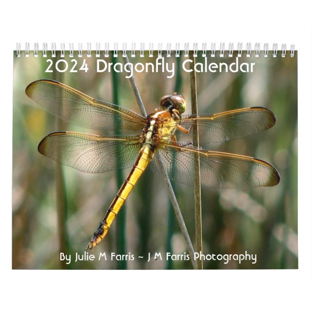 Calendário Dragonfly 2024 (Capa)