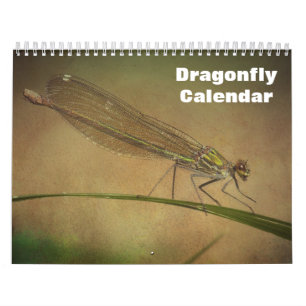 Calendário Dragonfly 2024