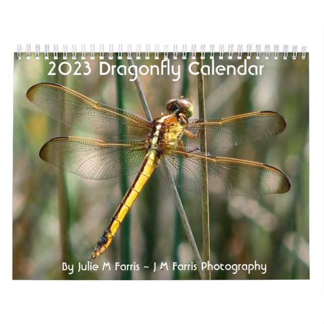 Calendário Dragonfly 2024 (Capa)