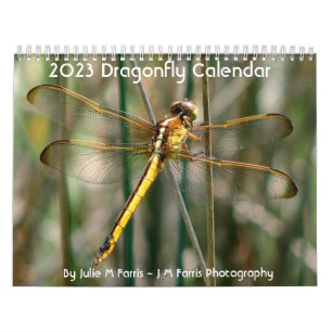 Calendário Dragonfly 2024