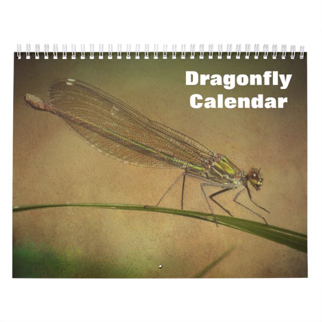 Calendário Dragonfly 2025 (Capa)