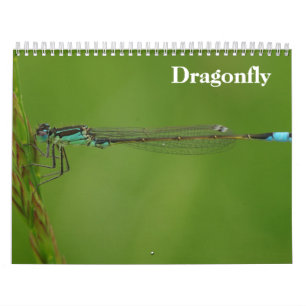 Calendário Dragonfly 2026
