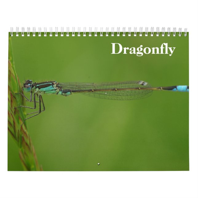 Calendário Dragonfly 2026 (Capa)