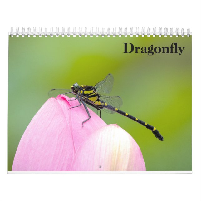 Calendário Dragonfly 2027 (Capa)