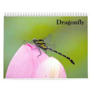 Calendário Dragonfly 2027