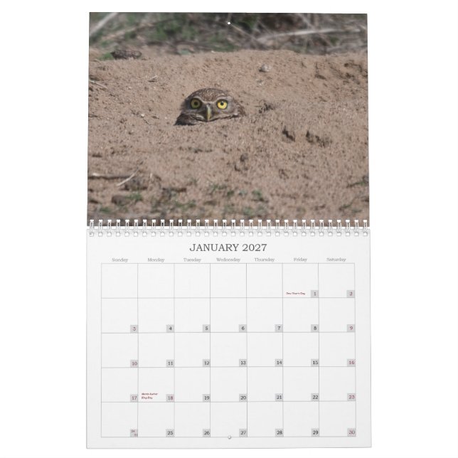 CALENDÁRIO DSC_2816, 2011 (Jan 2027)