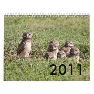 CALENDÁRIO DSC_2816, 2011