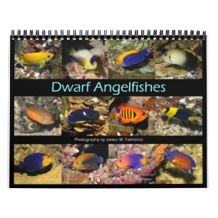 Calendário Dwarf Angelfishes Wall Calendar de J.W. Pai.