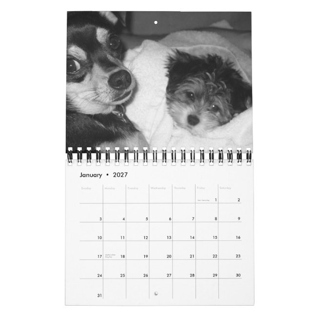 Calendário É a vida 2008 de um cão (Jan 2027)