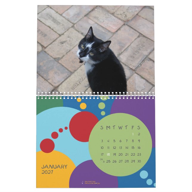 Calendário É MEU aniversário, SUCKAS!!! (Jan 2027)