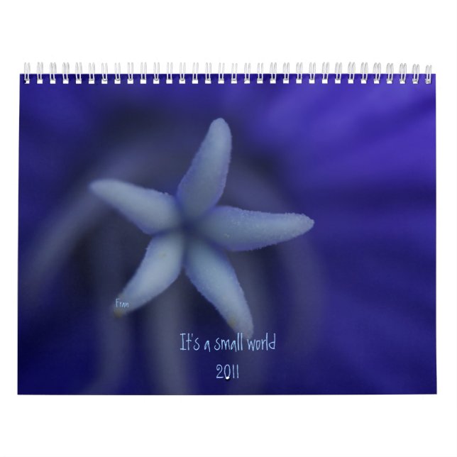 Calendário É um mundo pequeno (Capa)