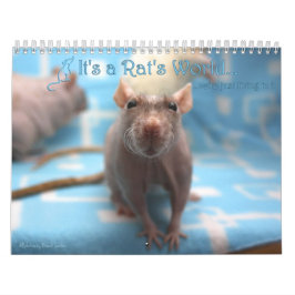 Calendário É um Rat World Calendar 2016
