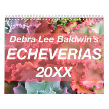 Calendário Echeverias 20XX de Debra Lee Baldwin