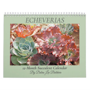 Calendário Echeverias Suculent 12 Meses