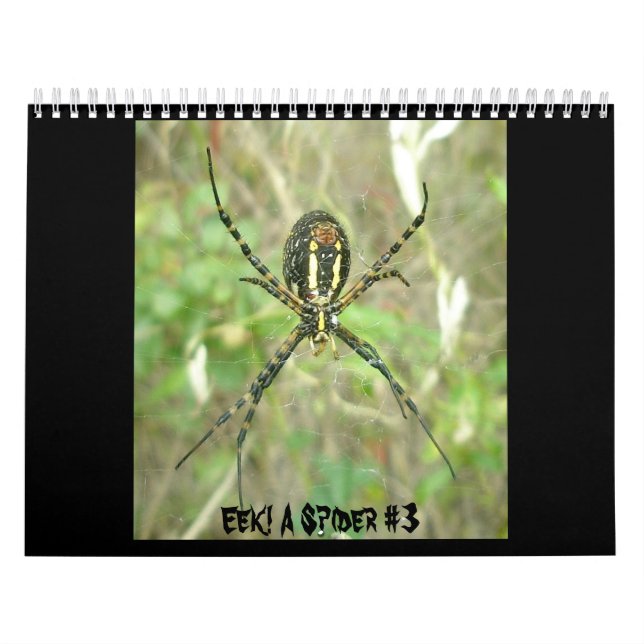 Calendário - Eek! Uma aranha nº 3 (Capa)