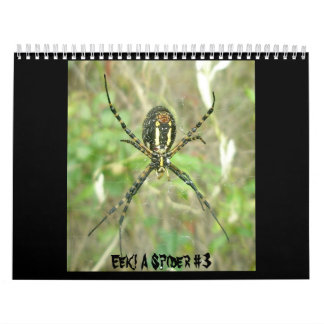 Calendário - Eek! Uma aranha nº 3