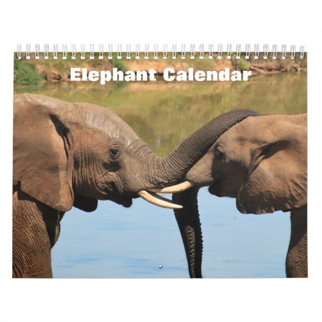 Calendário Elefante 2025 (Capa)