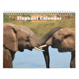 Calendário Elefante 2025