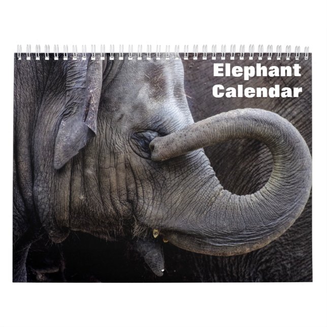 Calendário Elefante 2026  (Capa)