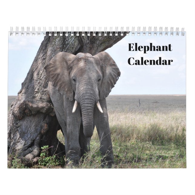 Calendário Elefante 2026  (Capa)