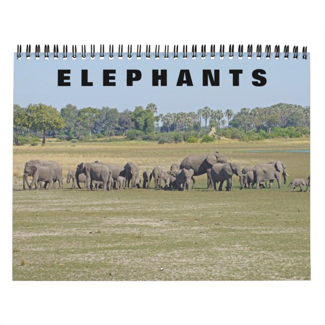 CALENDÁRIO ELEFANTES (Capa)