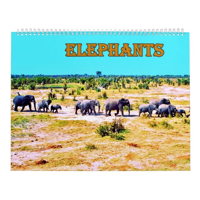 Calendário elefantes (Capa)